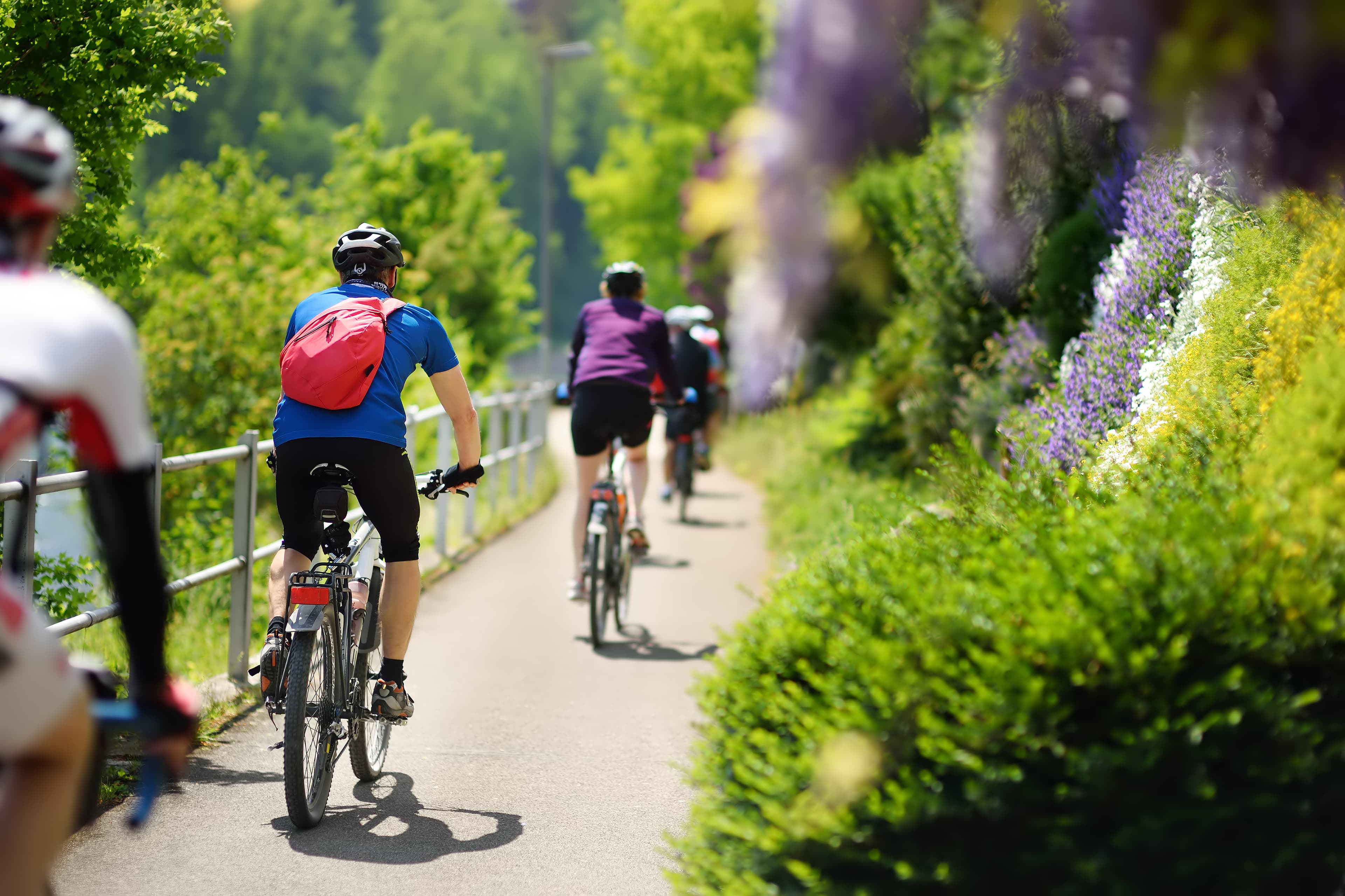 A group of cyclists on a flower-rich path in a green landscape.
